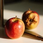 Terkadang Terlihat Baik Tapi Menyesatkan